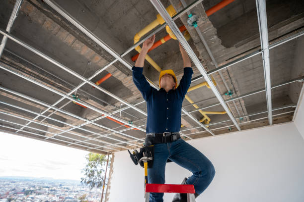 Best Plumbing Services Near Me  in Pittsfield, IL
