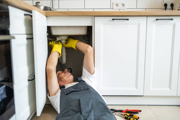 Best Toilet Repair Services  in Pittsfield, IL