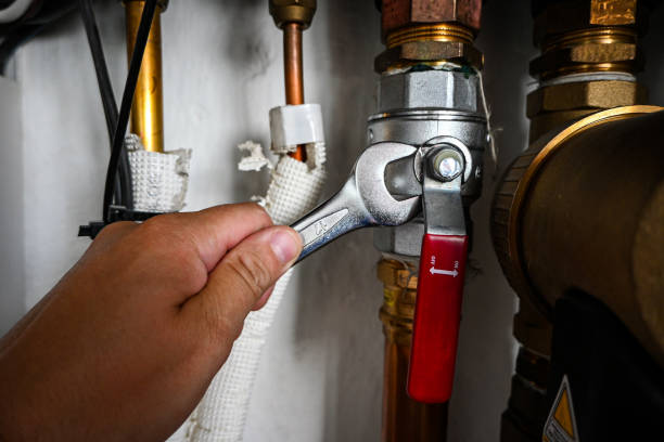 Best Water Leak Repair  in Pittsfield, IL